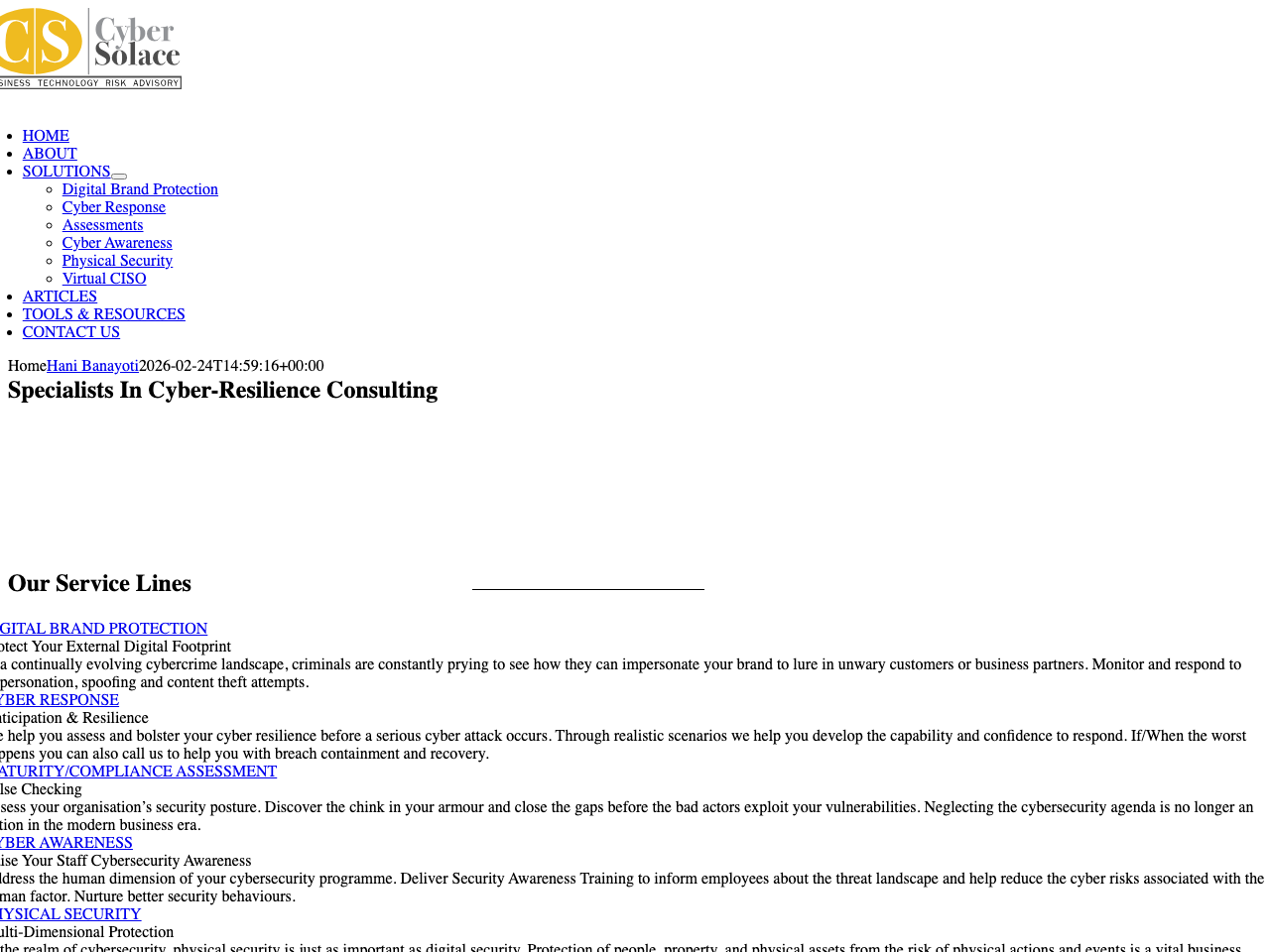 CyberSolace Limited screenshot