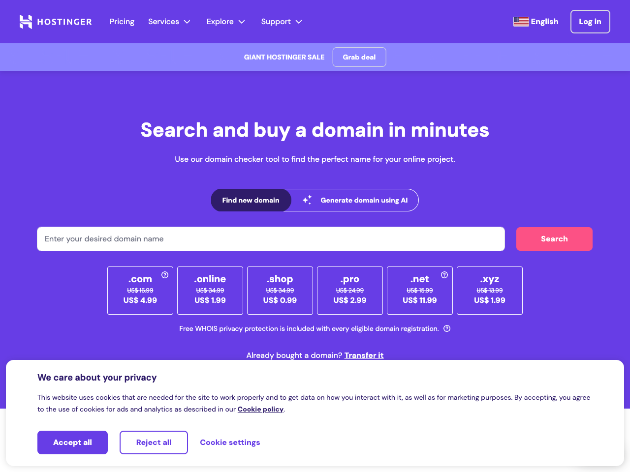 Hostinger Domain screenshot