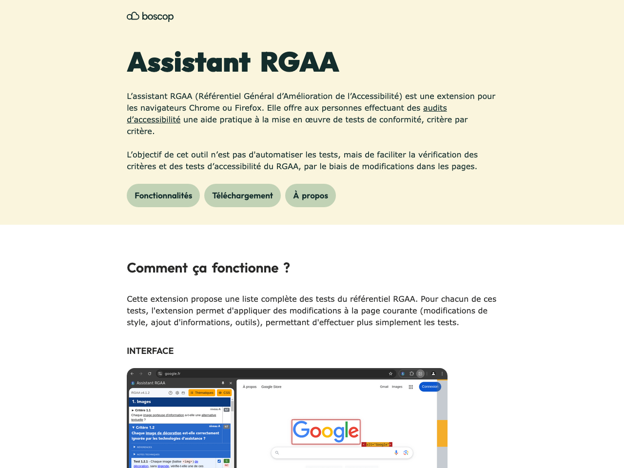 Assistant RGAA screenshot