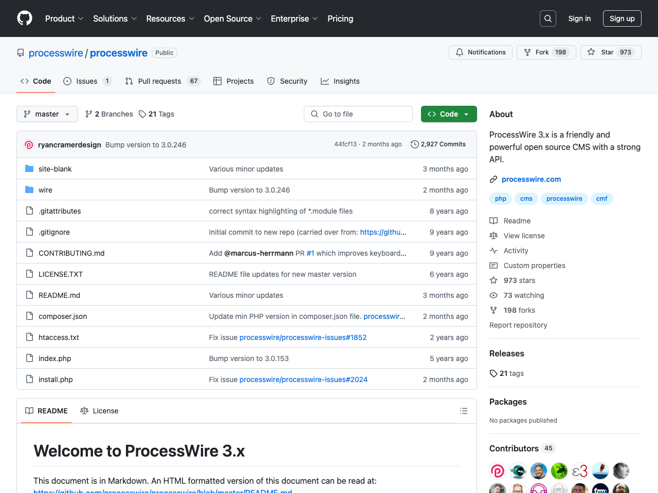 ProcessWire screenshot