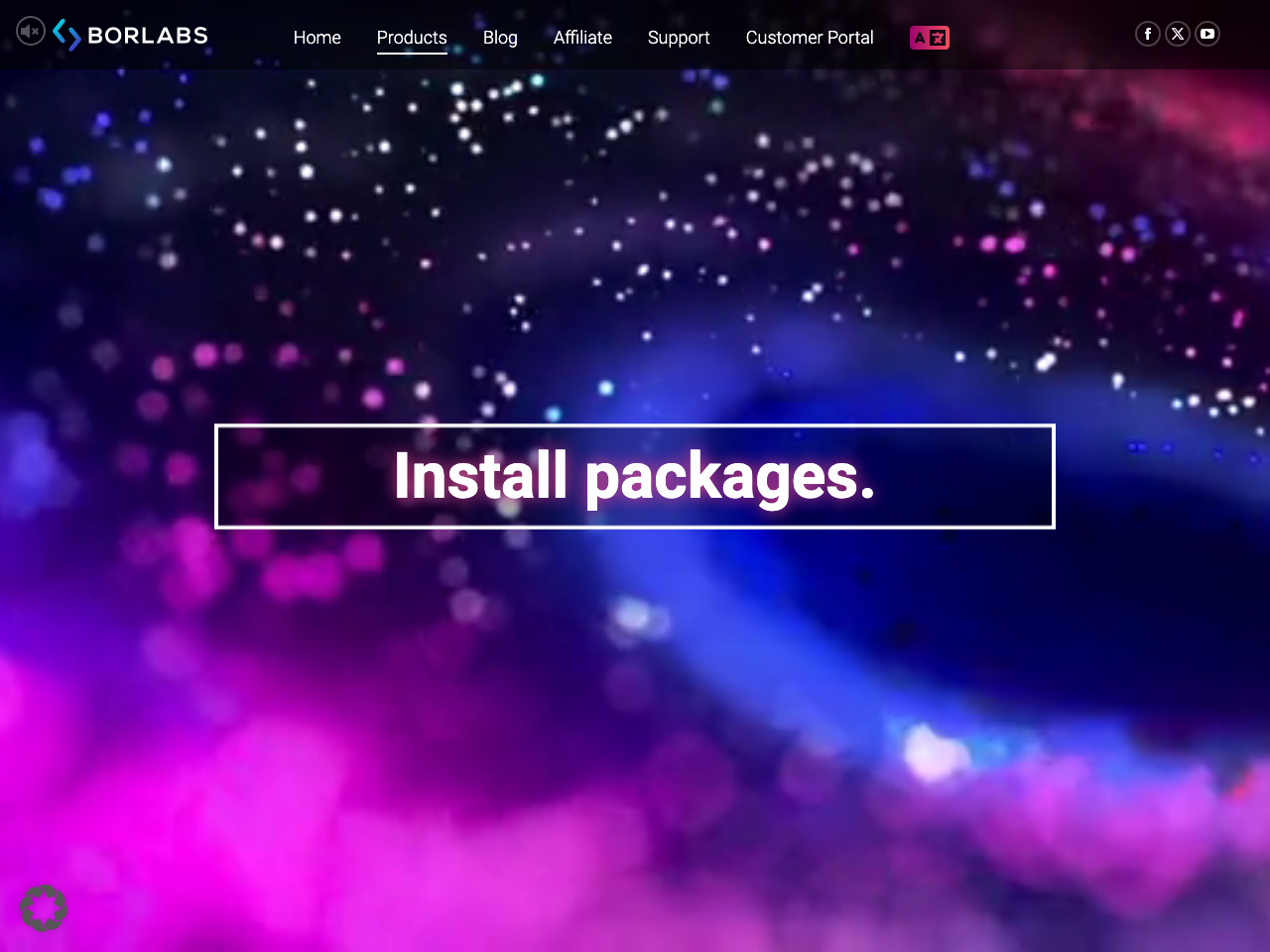 Borlabs Cookie screenshot