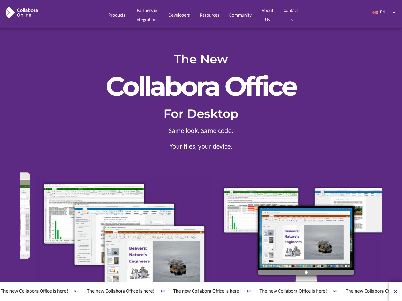 Collabora Office screenshot