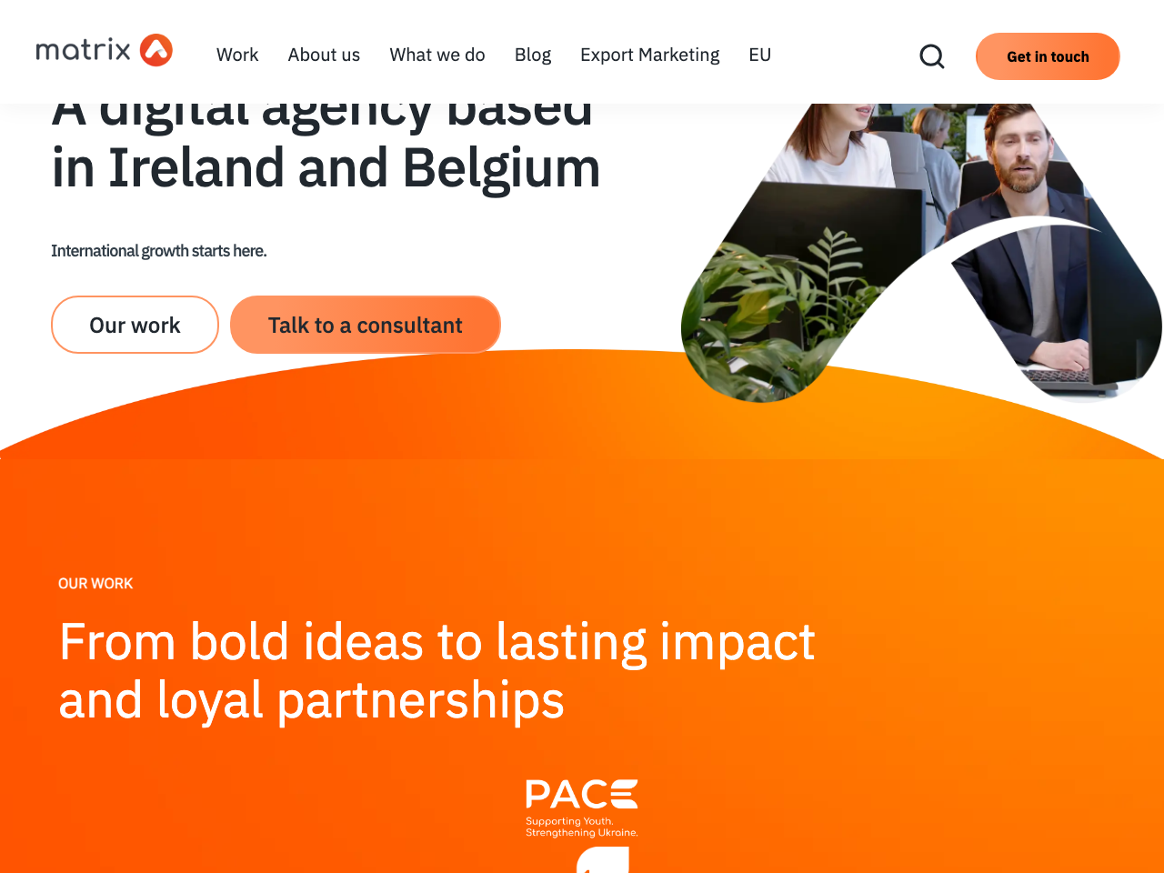 Matrix Internet screenshot