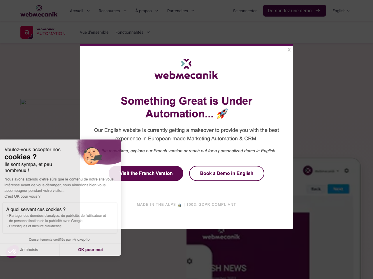 Webmecanik Automation screenshot