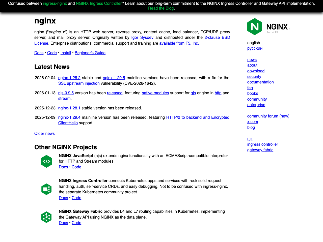 Nginx screenshot