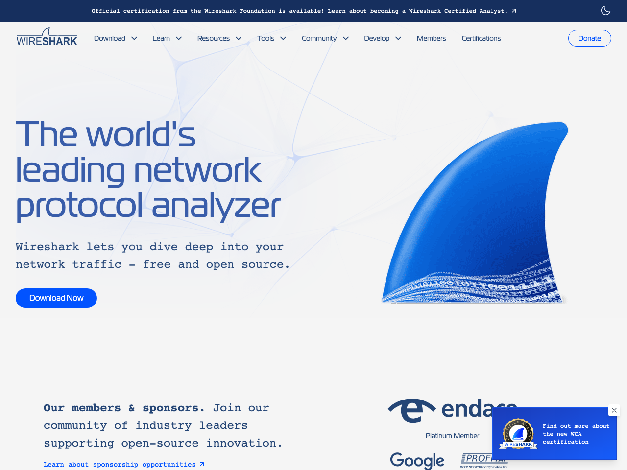 Wireshark screenshot